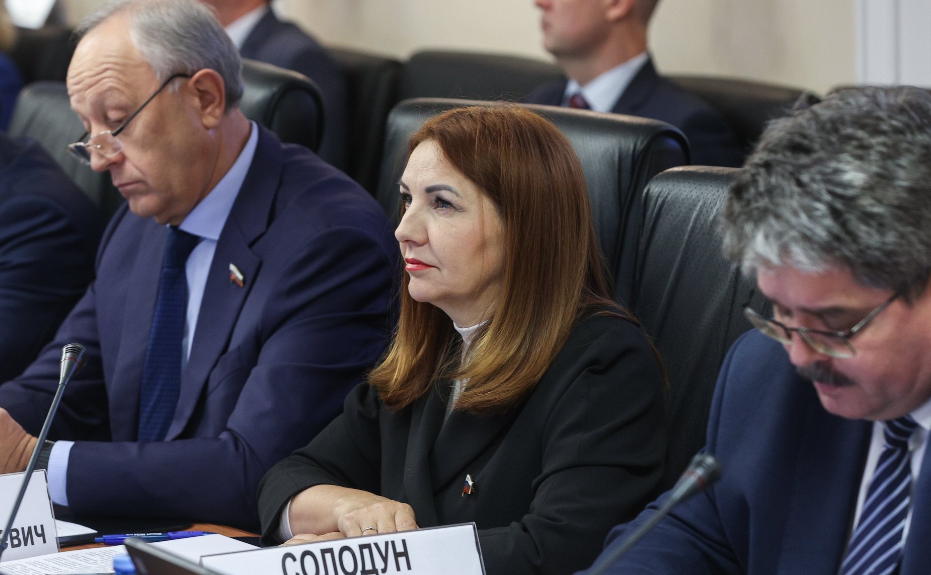 Расширенное заседание Комитета СФ по федеративному устройству, региональной политике, местному самоуправлению и делам Севера (в рамках Дней Мурманской области в СФ)