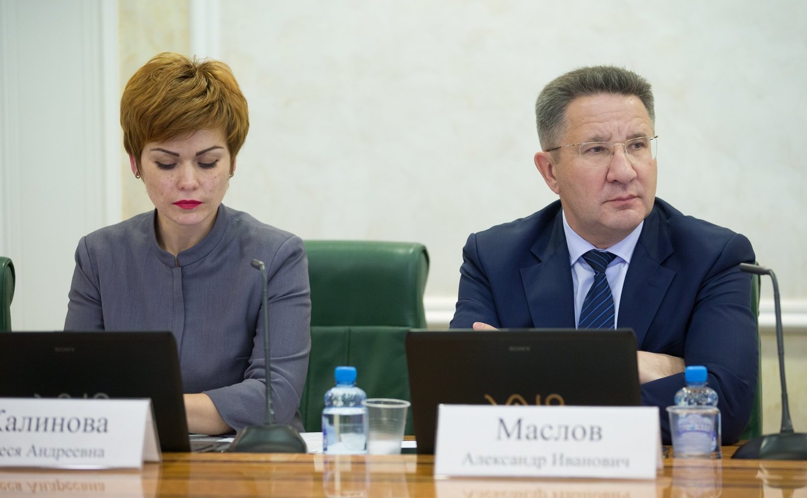 А. Калинина и А. Маслов