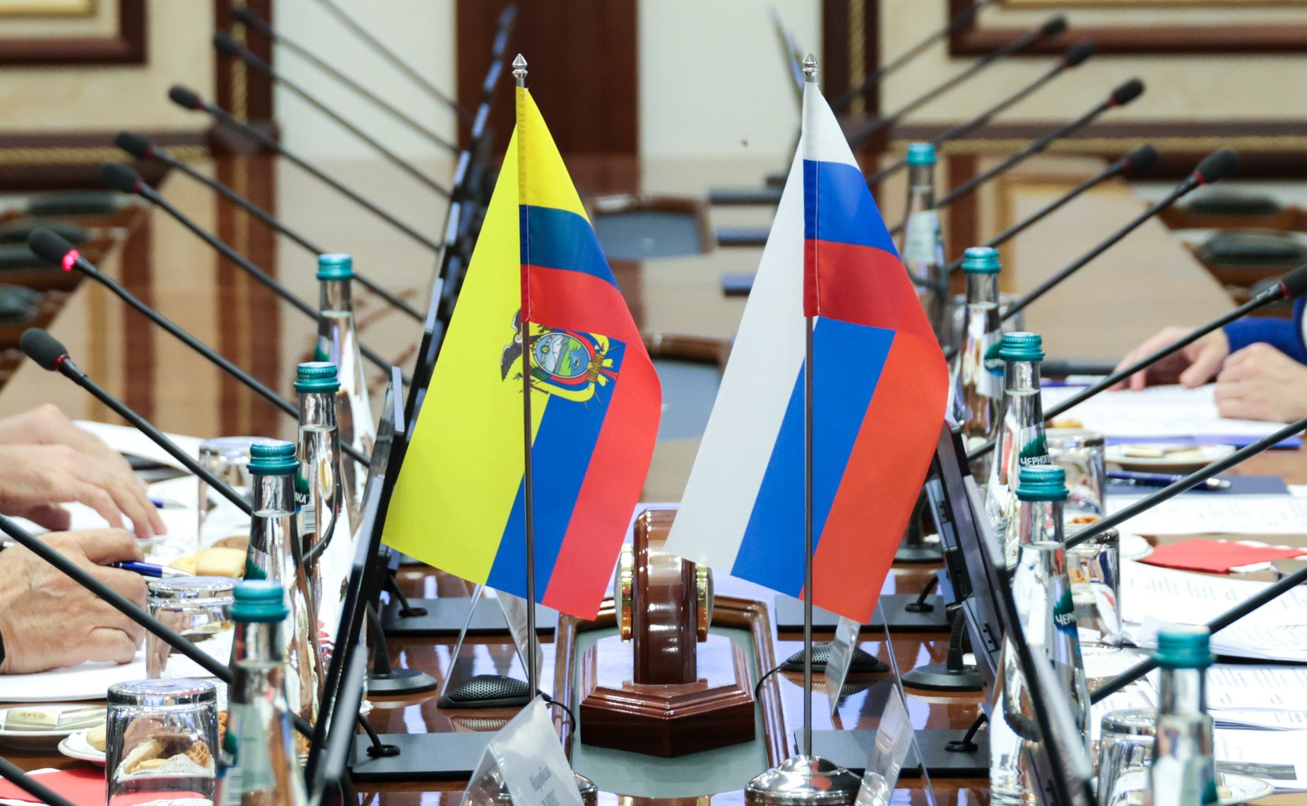 Заседание группы по сотрудничеству Совета Федерации с Национальной ассамблеей Республики Эквадор с участием Чрезвычайного и Полномочного Посла Республики Эквадор в Российской Федерации