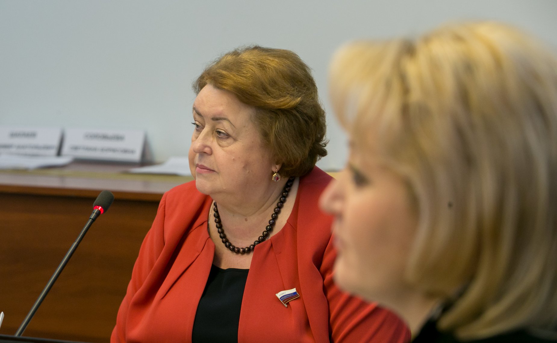 Расширенное заседание Комитет Совета Федерации по науке, образованию и культуре с участием представителей Оренбургской области