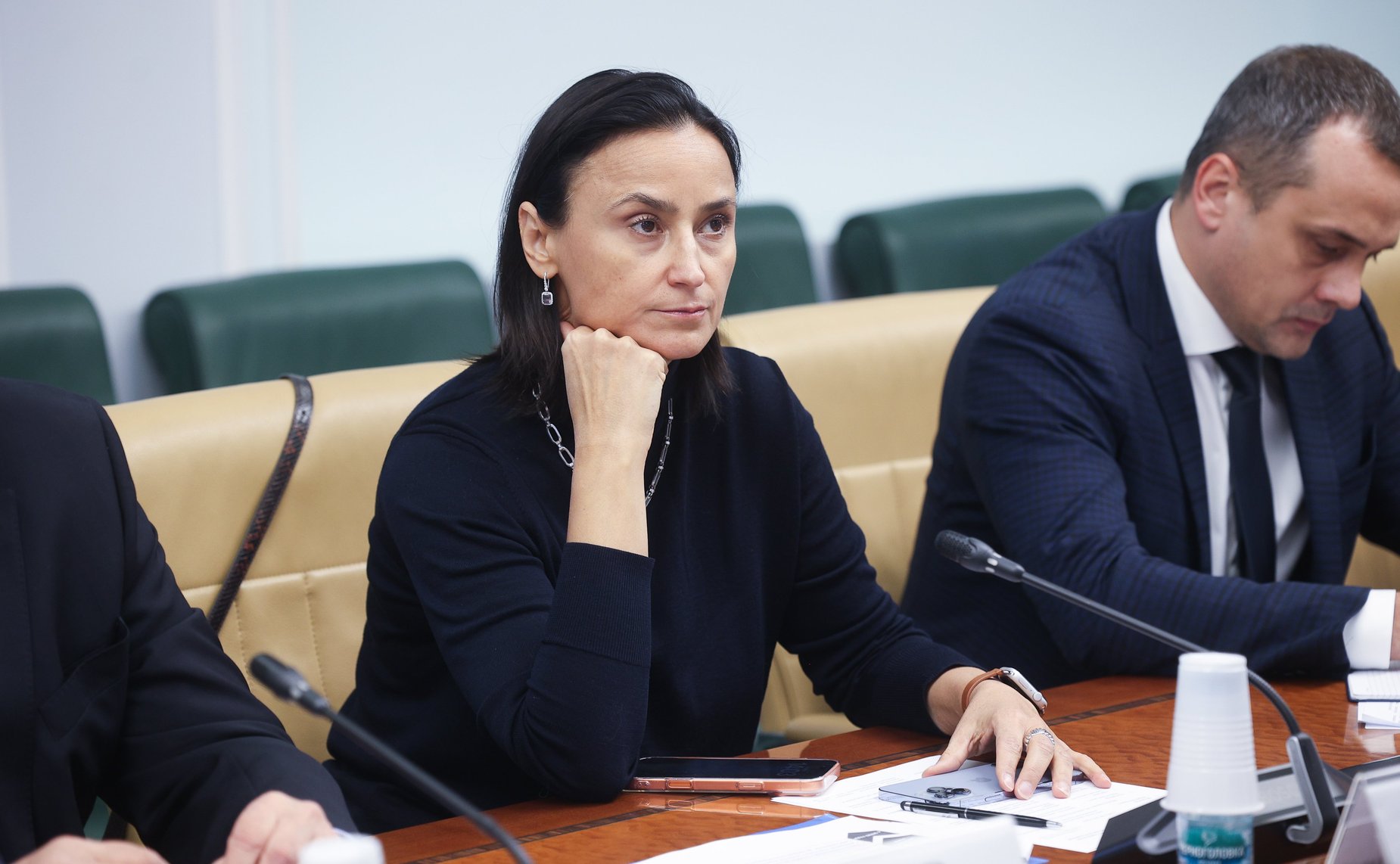 Круглый стол Комитета СФ по экономической политике на тему «Первые итоги применения дифференцированных тарифов на электроэнергию в субъектах РФ»