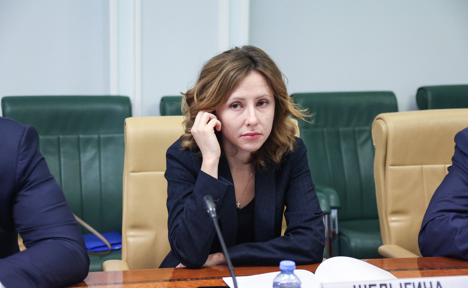 Совещание Комитета по федеративному устройству, региональной политике, МСУ и делам Севера «Проблемы импортозамещения и наращивание отечественного промышленного производства лифтов»