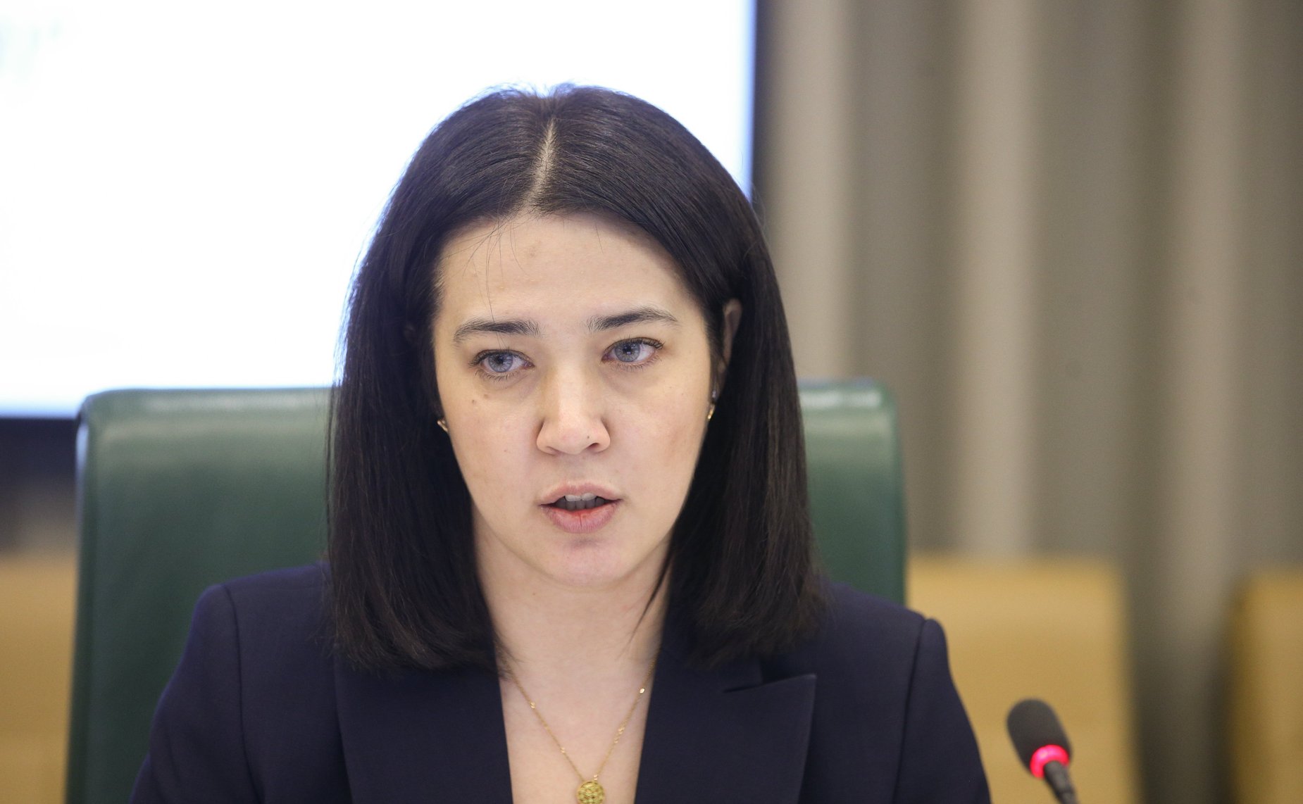 Совещание Комитета СФ по Регламенту и организации парламентской деятельности