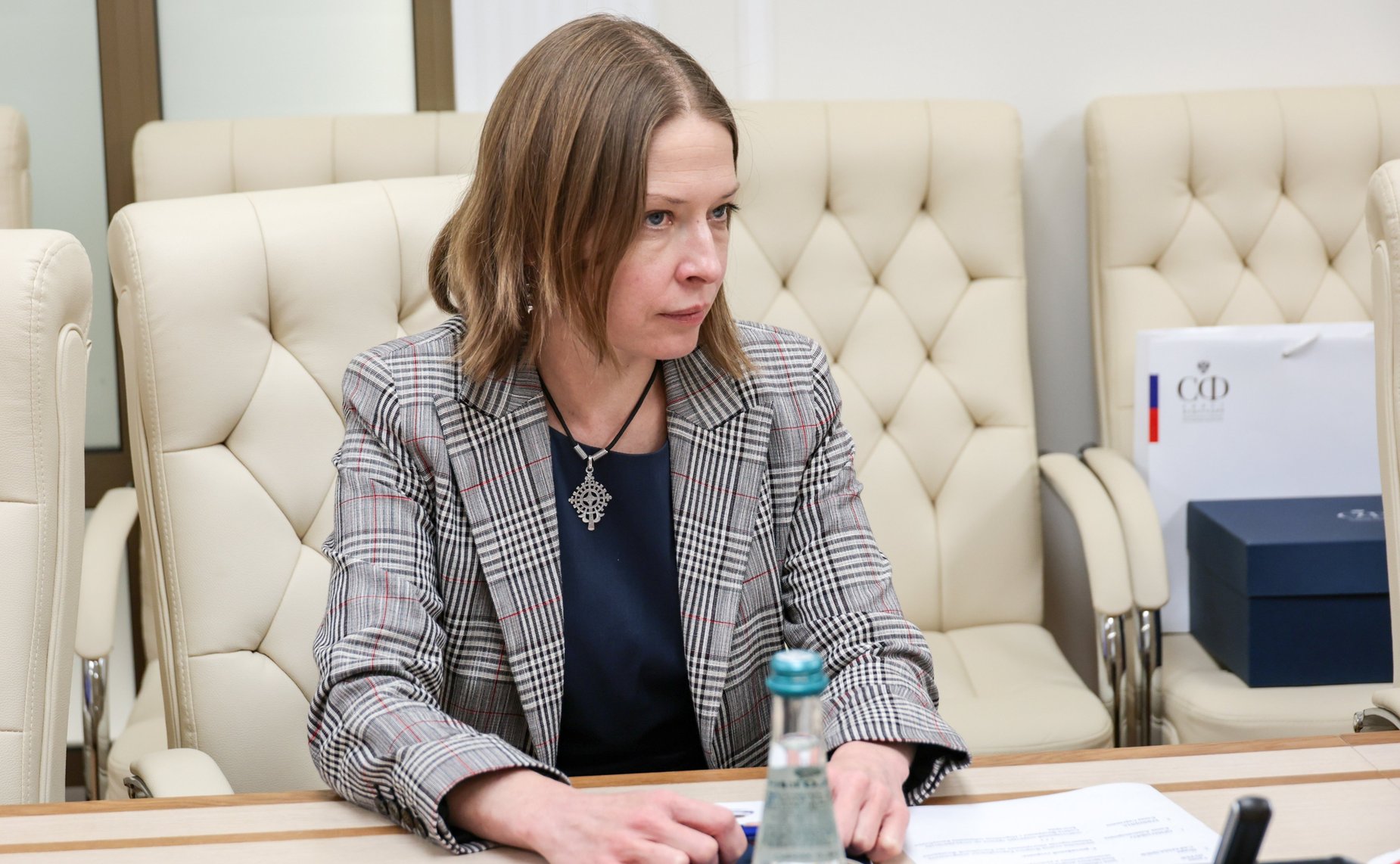 Встреча Василия Иконникова с политическими деятелями Республики Болгария