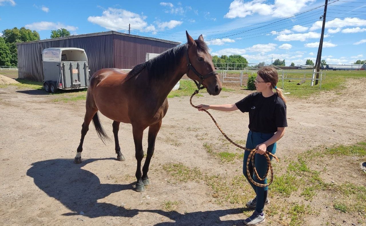 Николай Федоров посетил агропредприятия Ядринского района