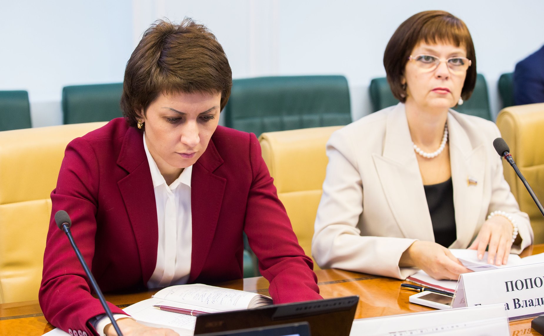 Т. Лебедева Заседание Комитета Совета Федерации по социальной политике