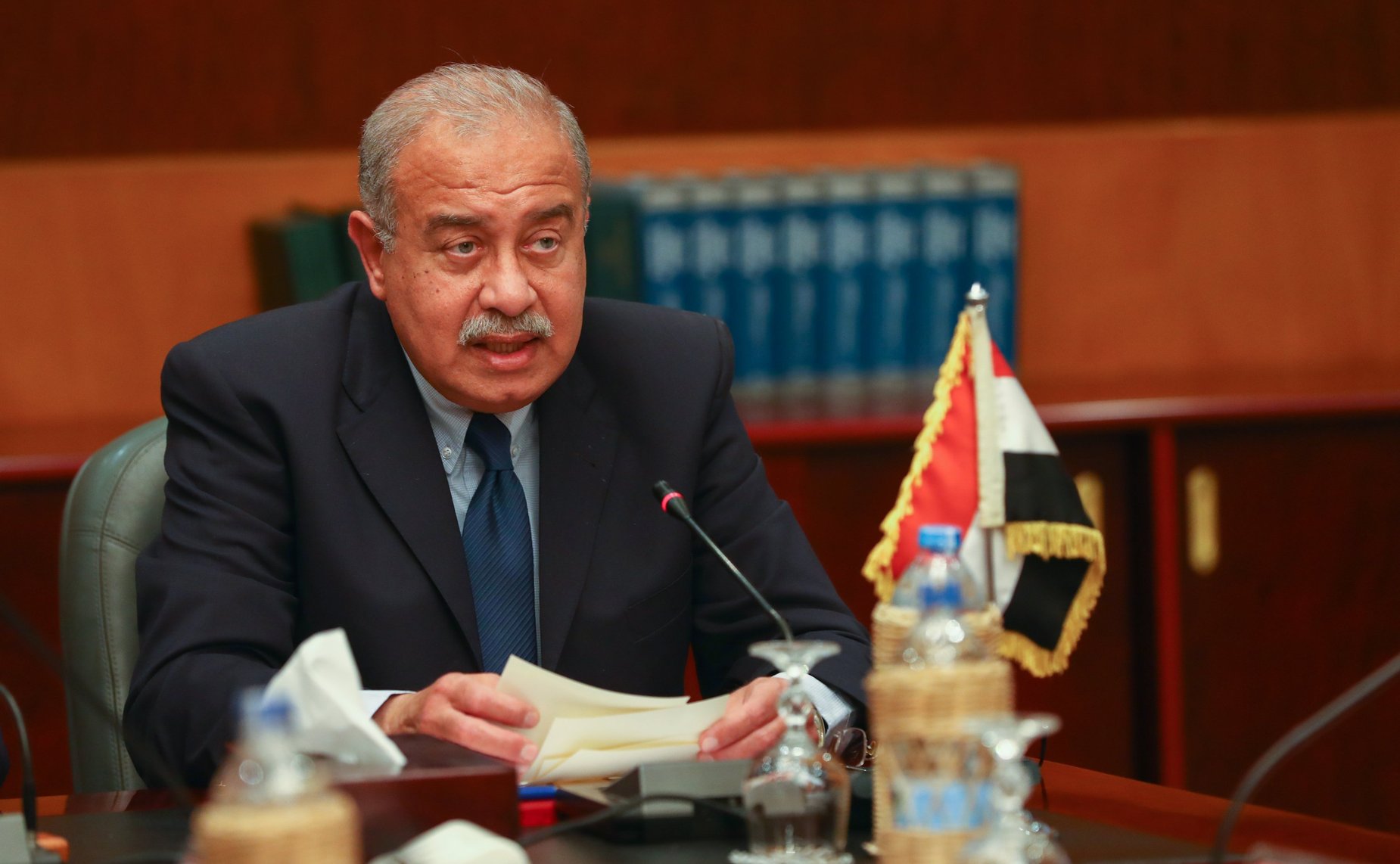 Премьер-министр Арабской Республики Египет Шериф Исмаил