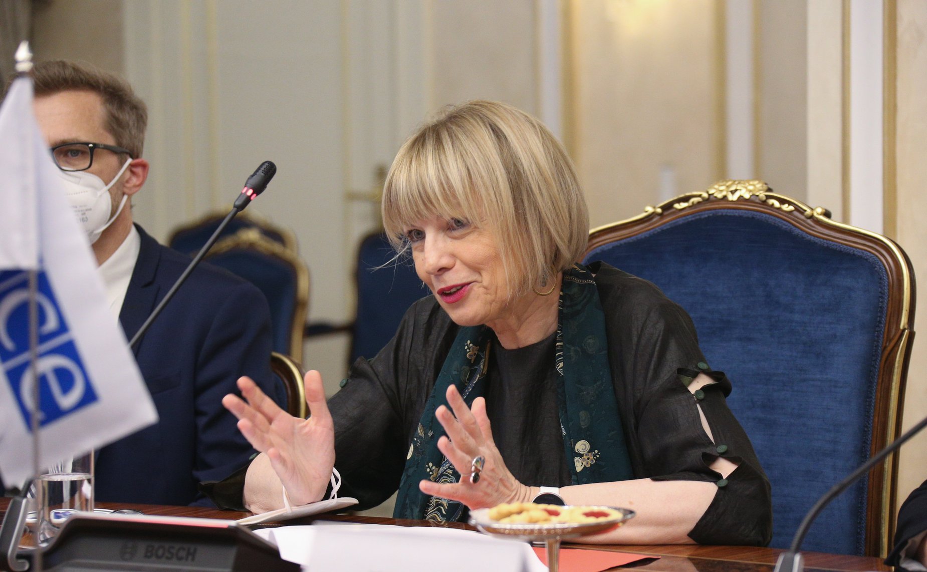 Григорий Карасин провел встречу с Генеральным секретарем Организации по безопасности и сотрудничеству в Европе