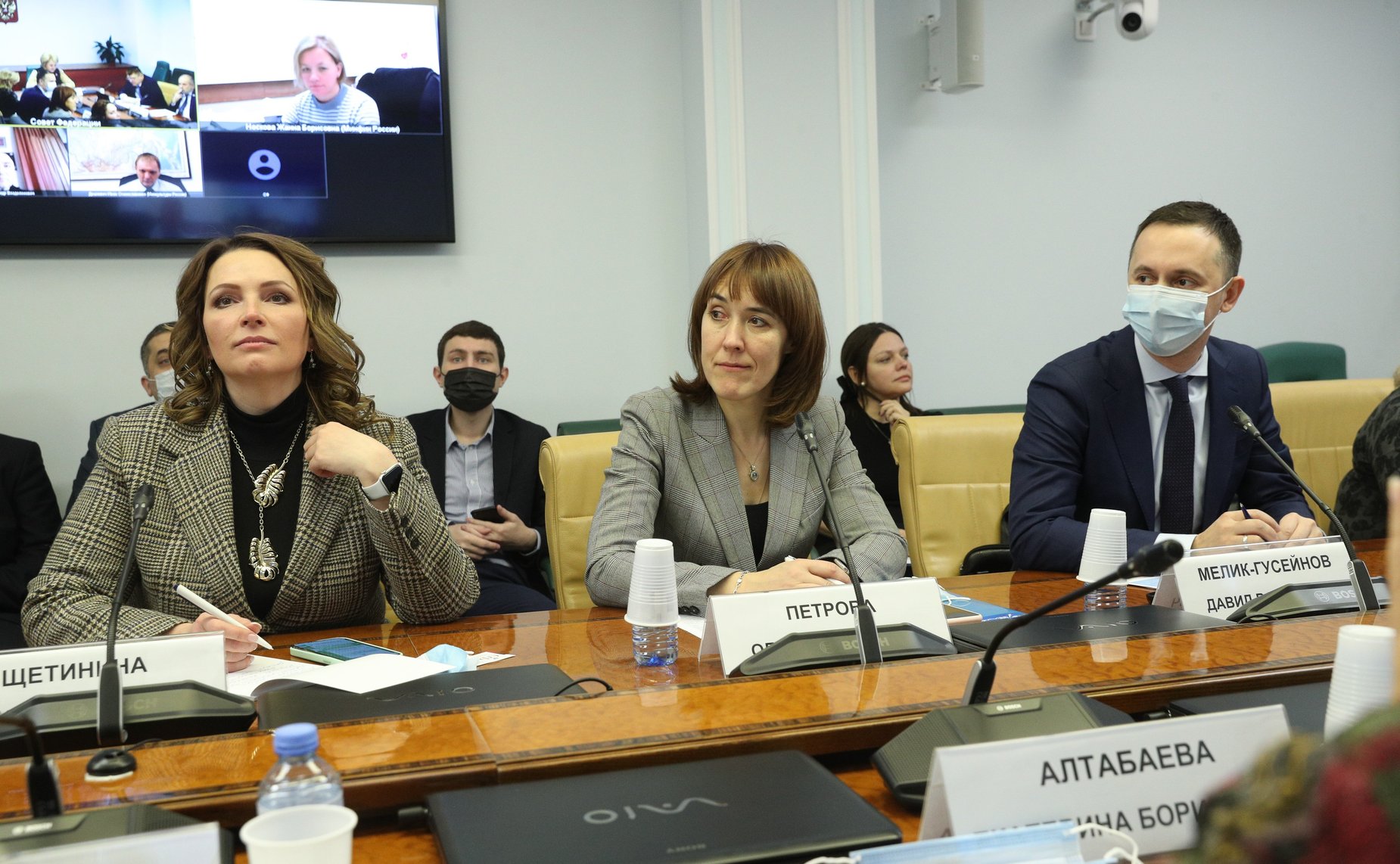 Расширенное заседание Комитета Совета Федерации по науке, образованию и культуре в рамках Дней Нижегородской области в СФ