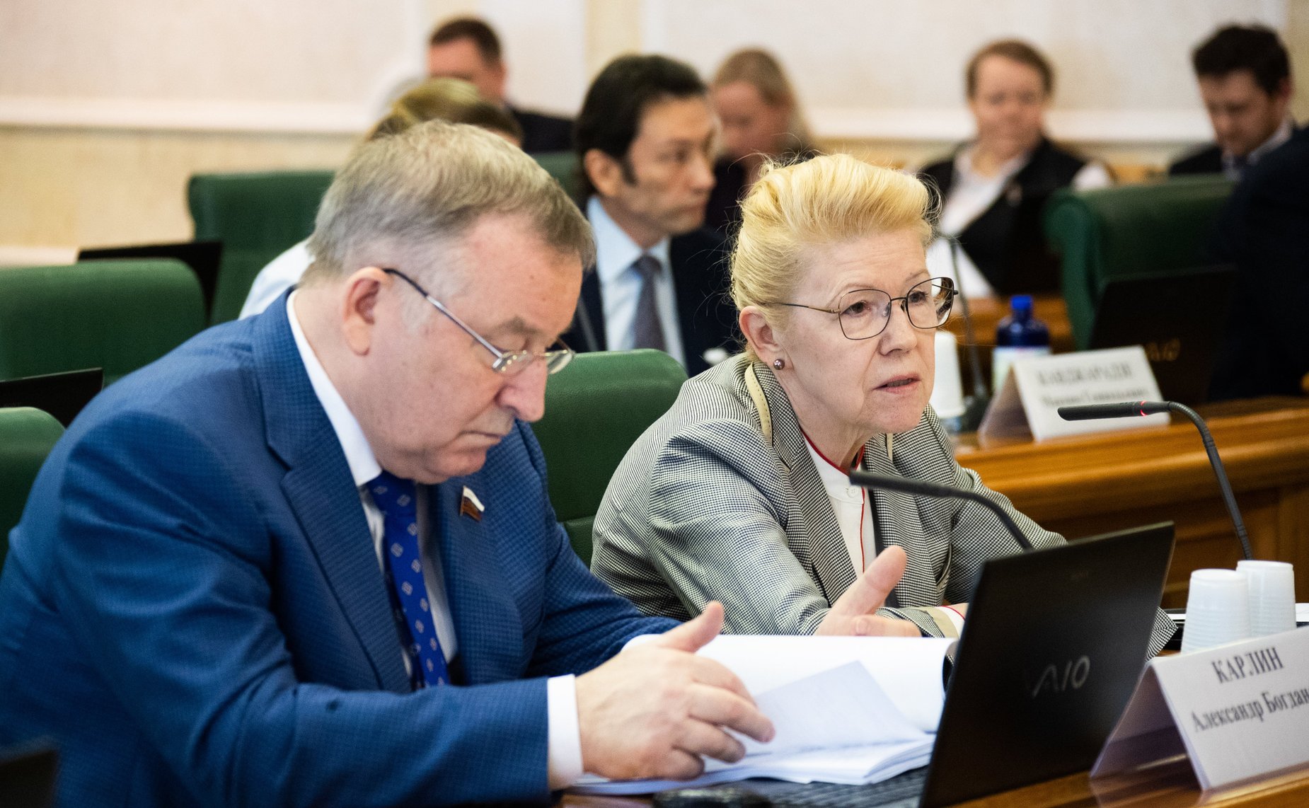 Александр Карлин и Елена Мизулина