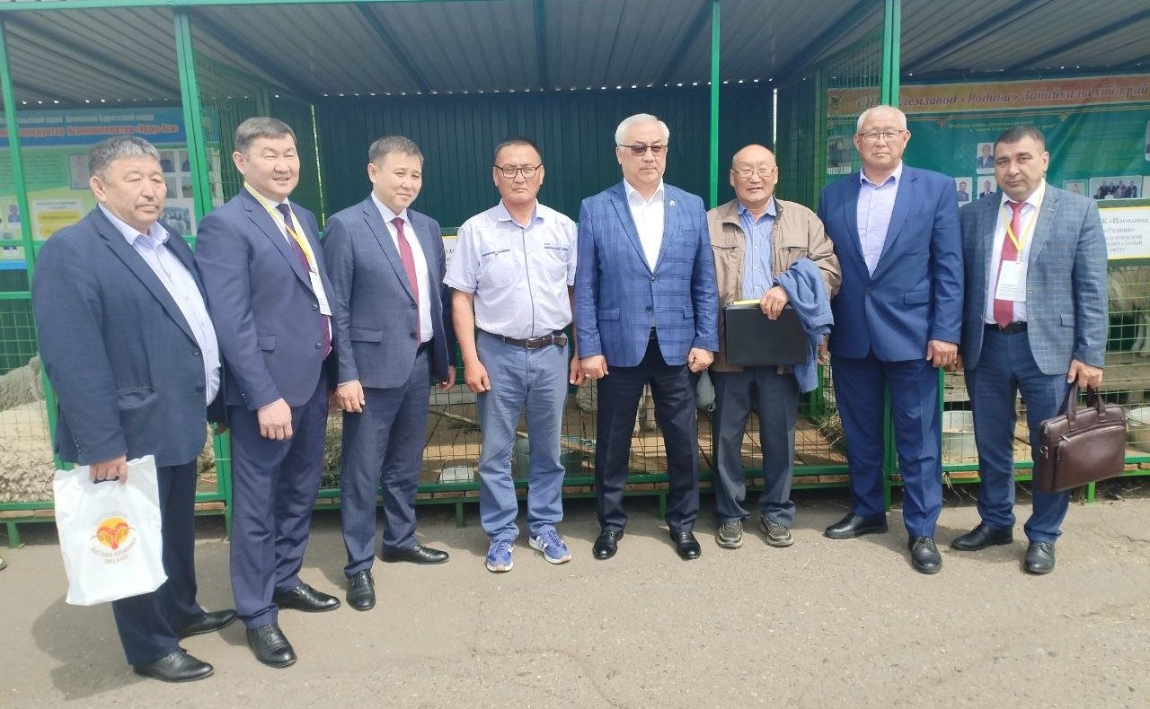 Баир Жамсуев посетил второй этап Российской выставки племенных овец и коз в Чите