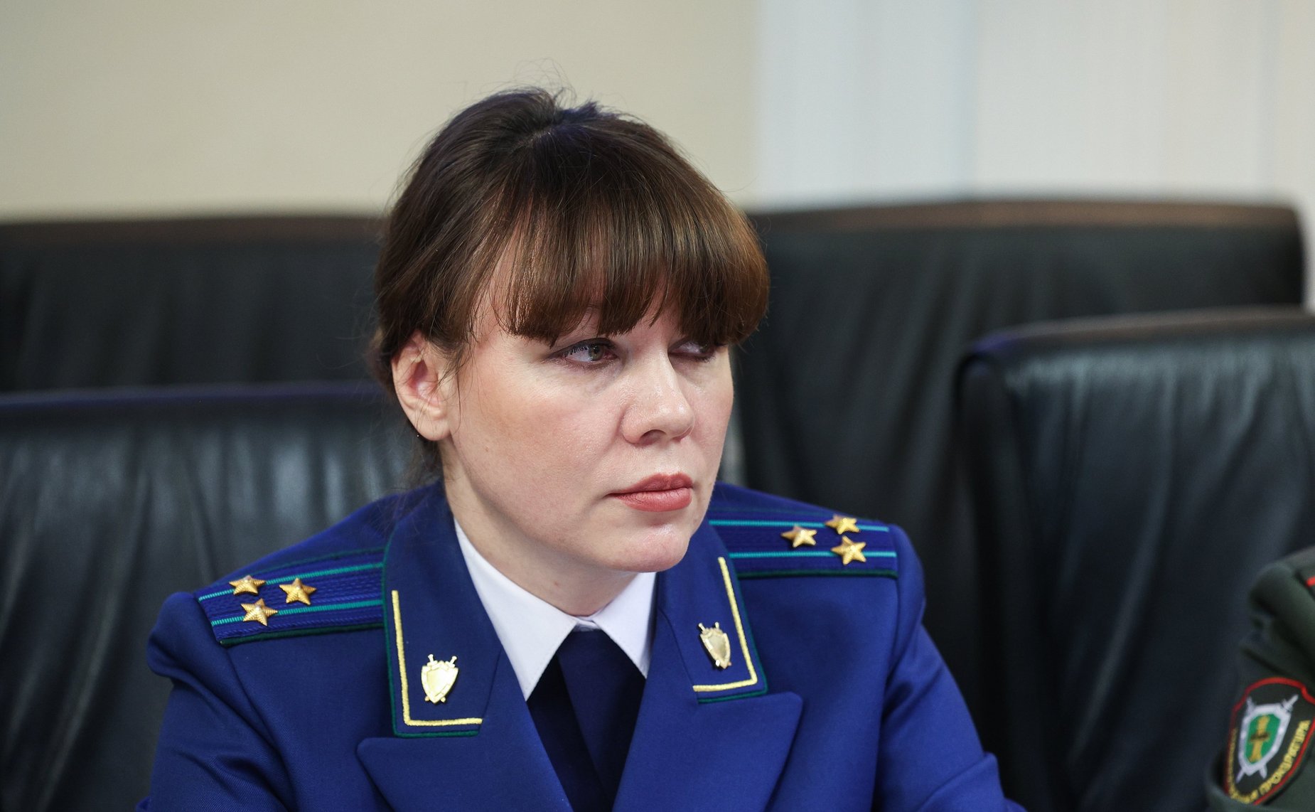 Заседание круглого стола Комитета СФ по конституционному законодательству и государственному строительству «Об установлении уголовной ответственности за саботаж»