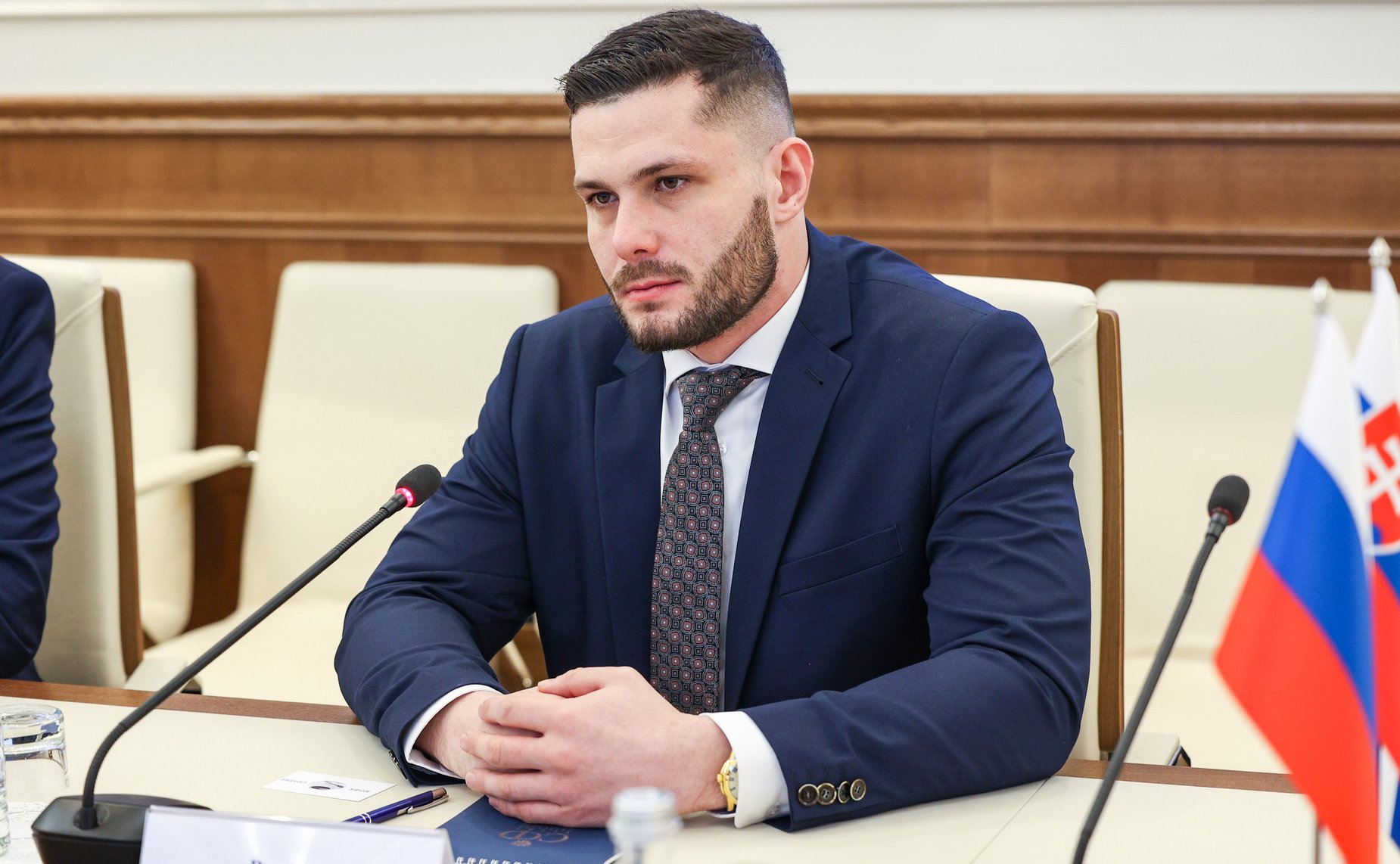 Встреча председателя Комитета Совета Федерации по обороне и безопасности Владимира Булавина с председателем Комитета по обороне и безопасности Национального совета Словацкой Республики