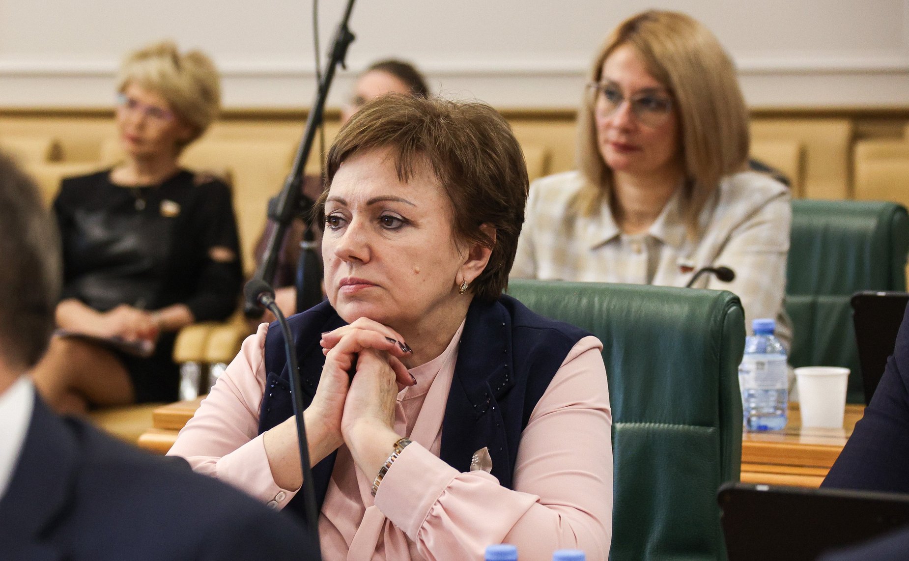 Елена Бибикова