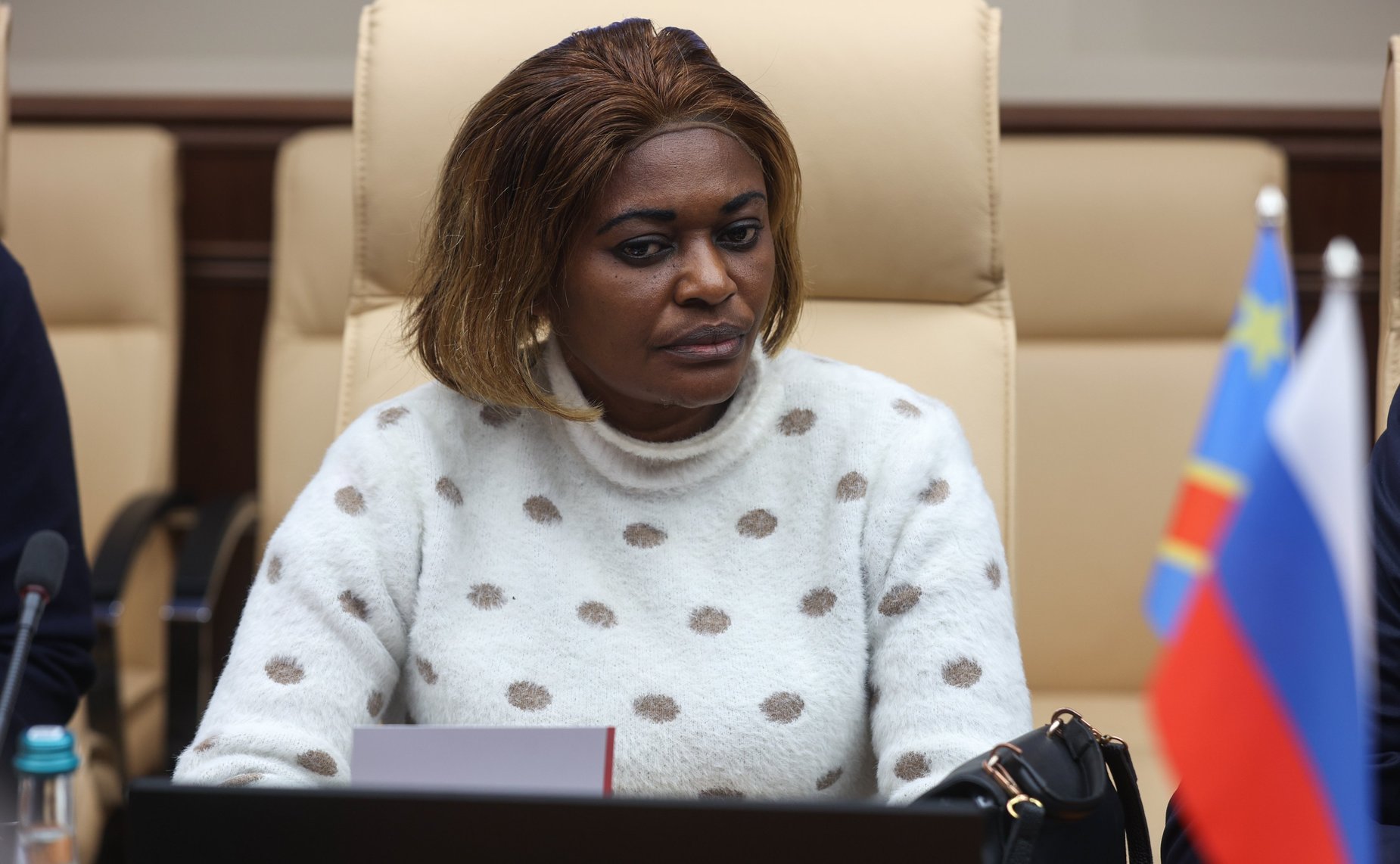 Егор Борисов провел встречу с директором по административным вопросам Национальной геологической службы Демократической Республики Конго Муамбой Мушимпаку Годфруа