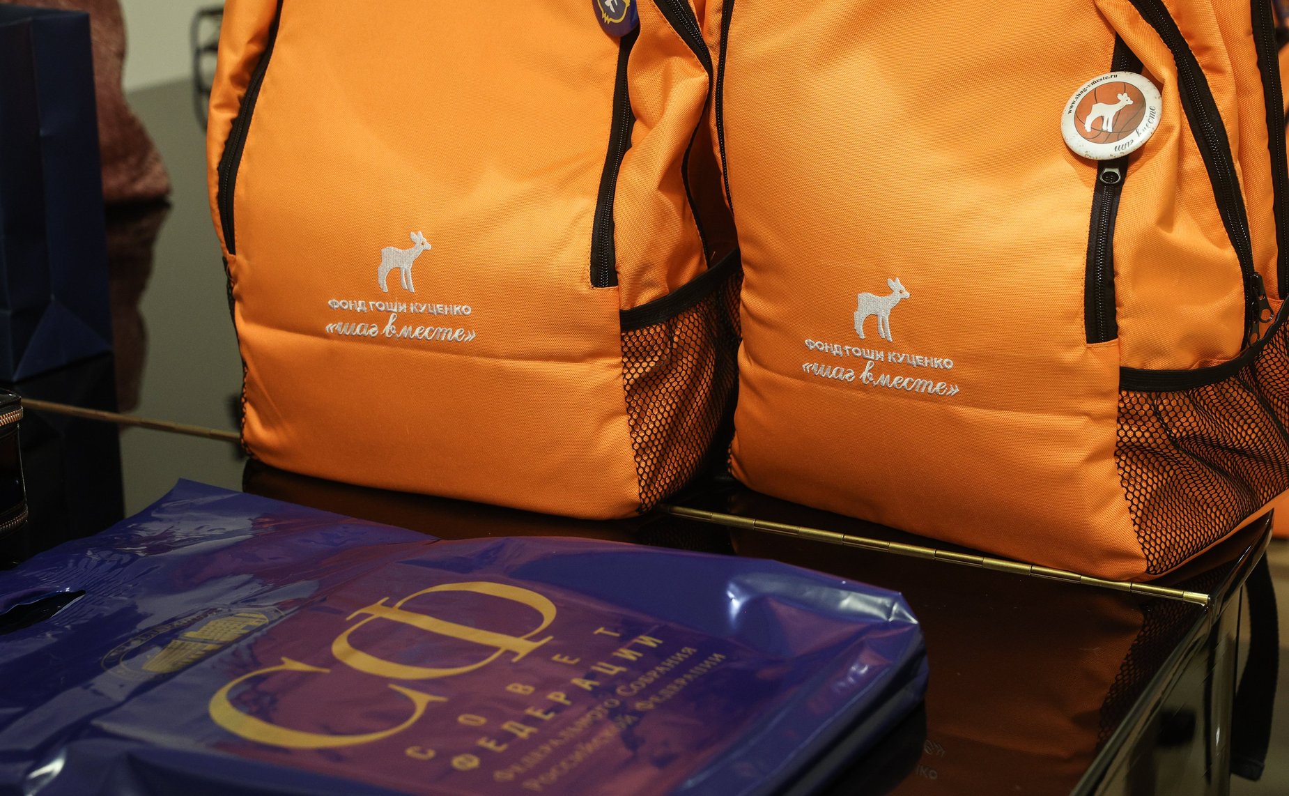 Инна Святенко и Андрей Чернышев поприветствовали в Совете Федерации детей, которые являются победителями и призёрами паралимпийских чемпионатов