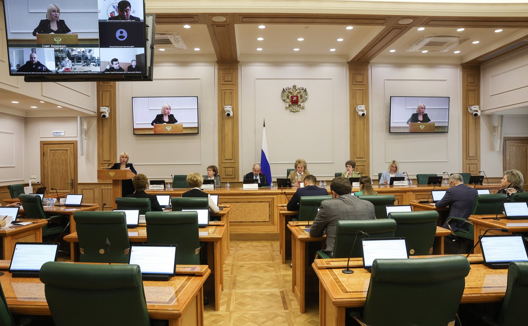 Заседание Комитета СФ по науке, образованию и культуре