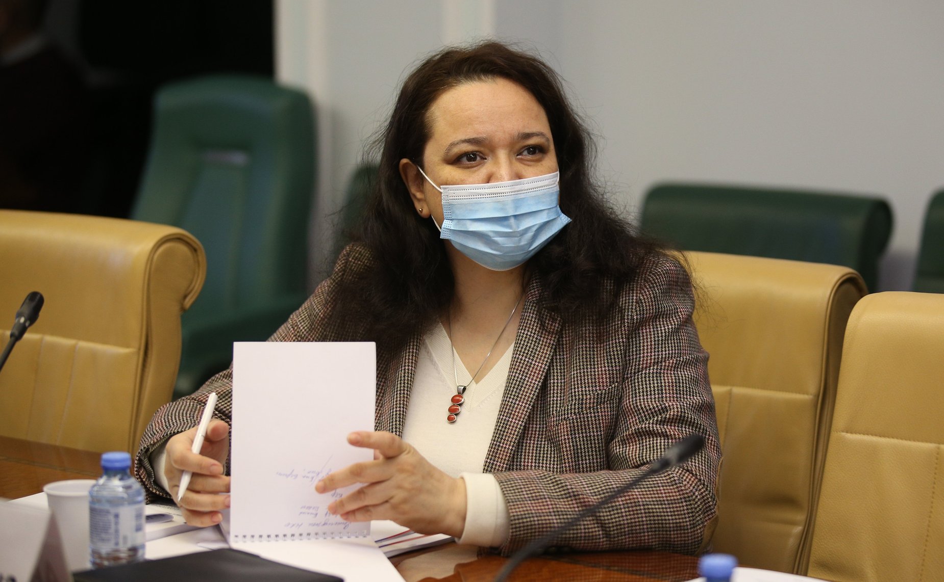 Заседание Совета по Арктике и Антарктике при СФ