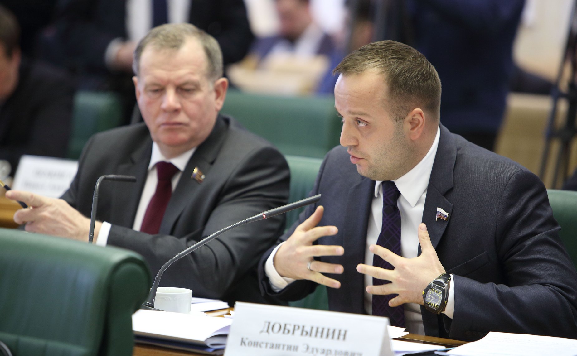 4.2.14 Заседание Совета законодателей-17 Добрынин