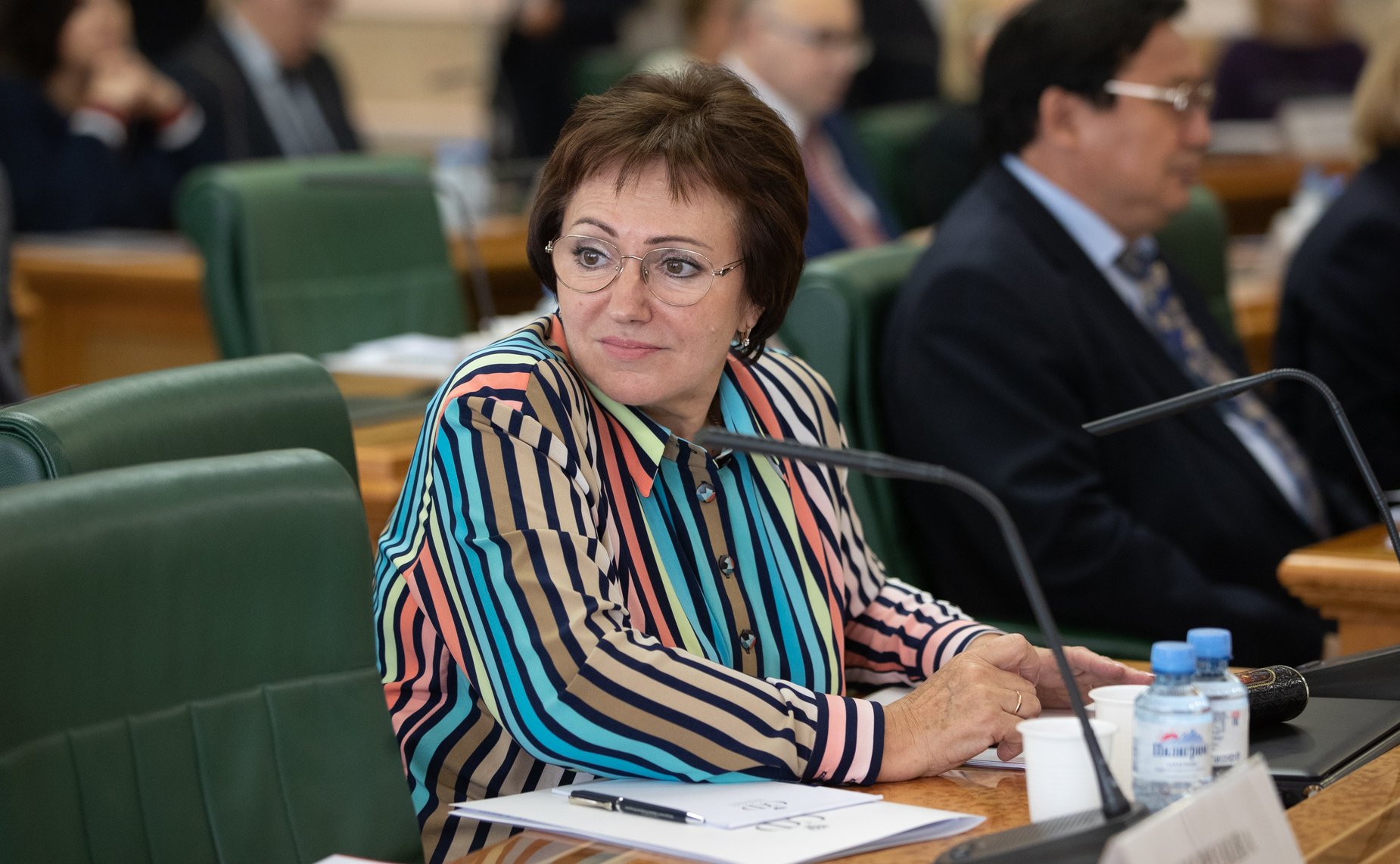 Елена Бибикова