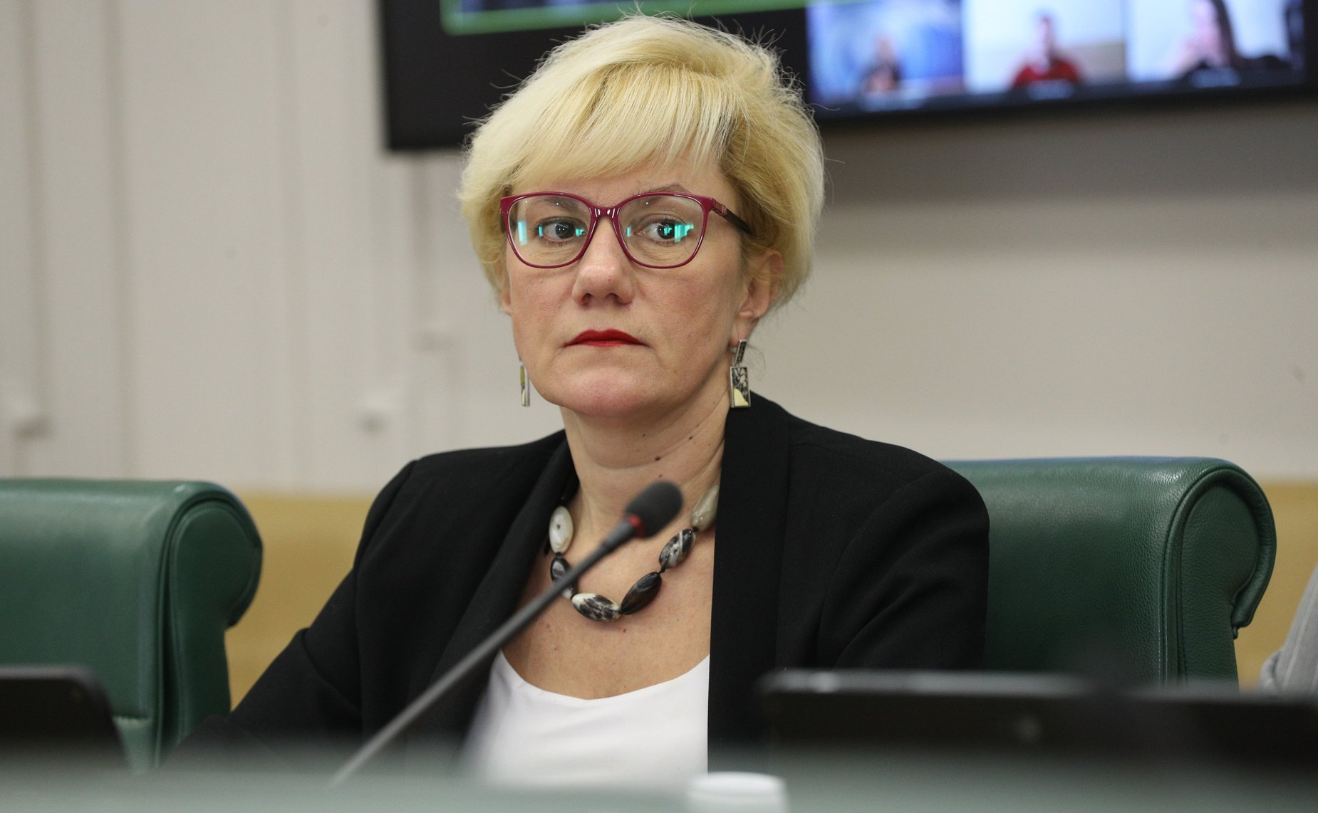 Стратегическая сессия Комитета СФ по науке, образованию и культуре