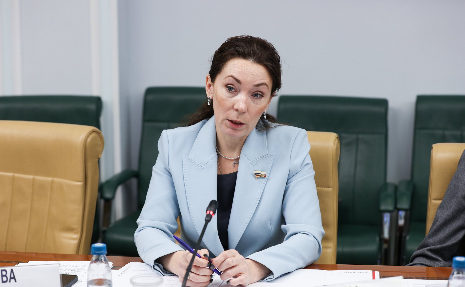 Надежда Ильина