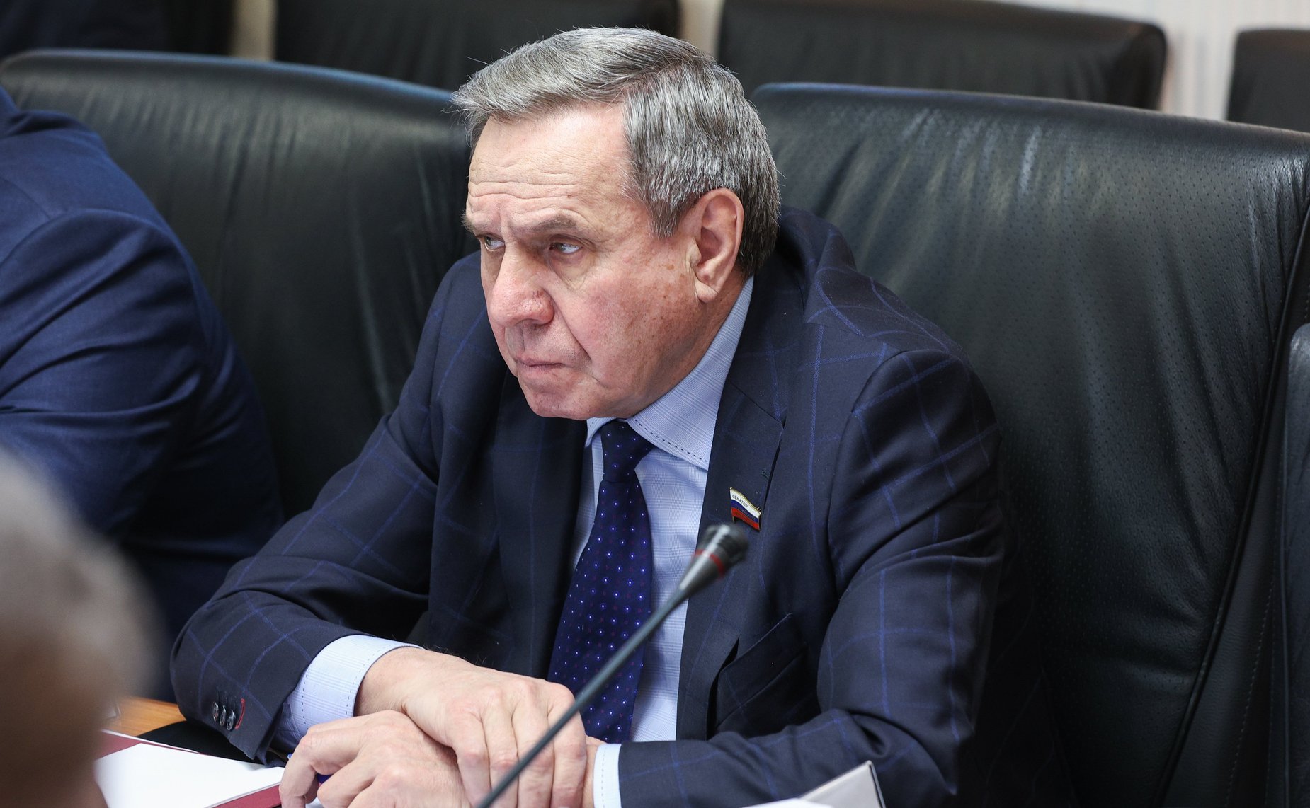 Владимир Городецкий