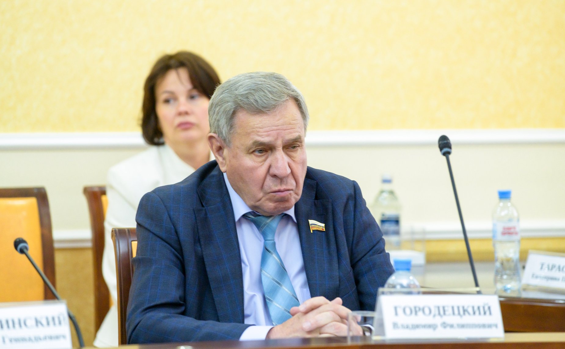 Владимир Городецкий