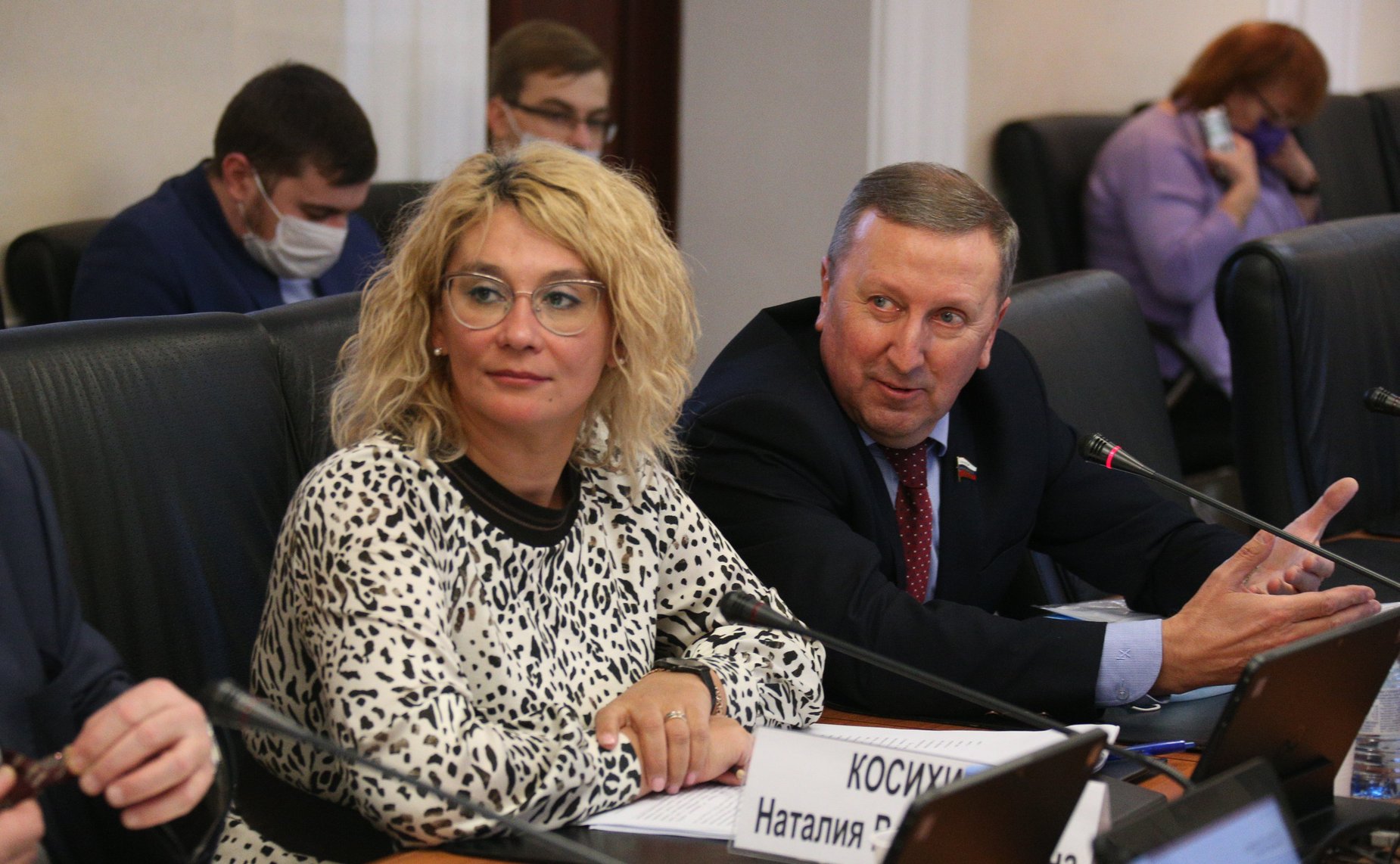 Заседание Комитета СФ по федеративному устройству, региональной политике, местному самоуправлению и делам Севера