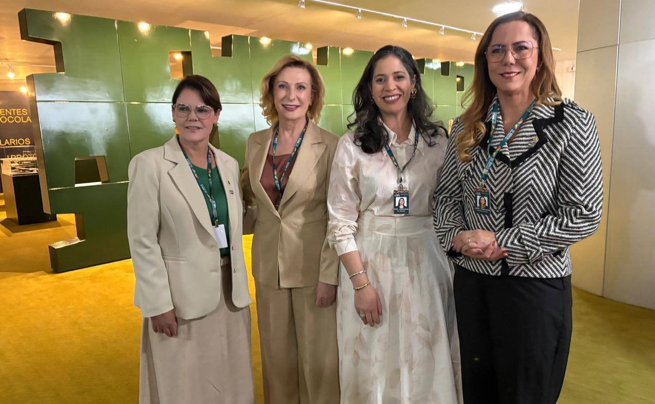 Делегация Совета Федерации принимает участие в 11-м Парламентском форуме БРИКС в Бразилии