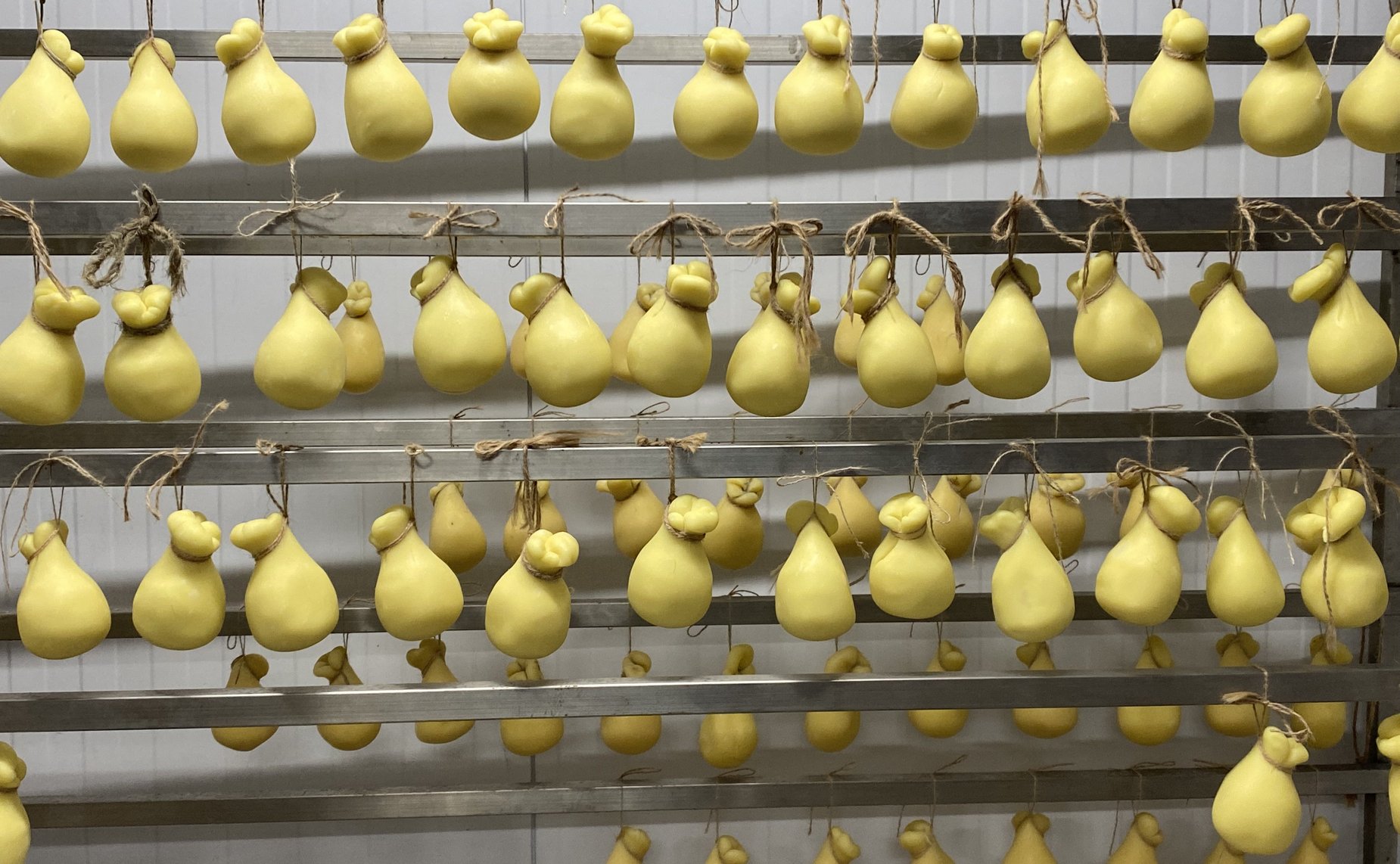 Олег Алексеев в ходе работы в регионе посетил сыроварню