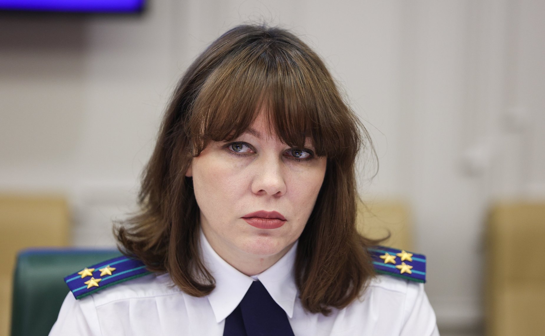 Круглый стол Комитета СФ по конституционному законодательству и государственному строительству