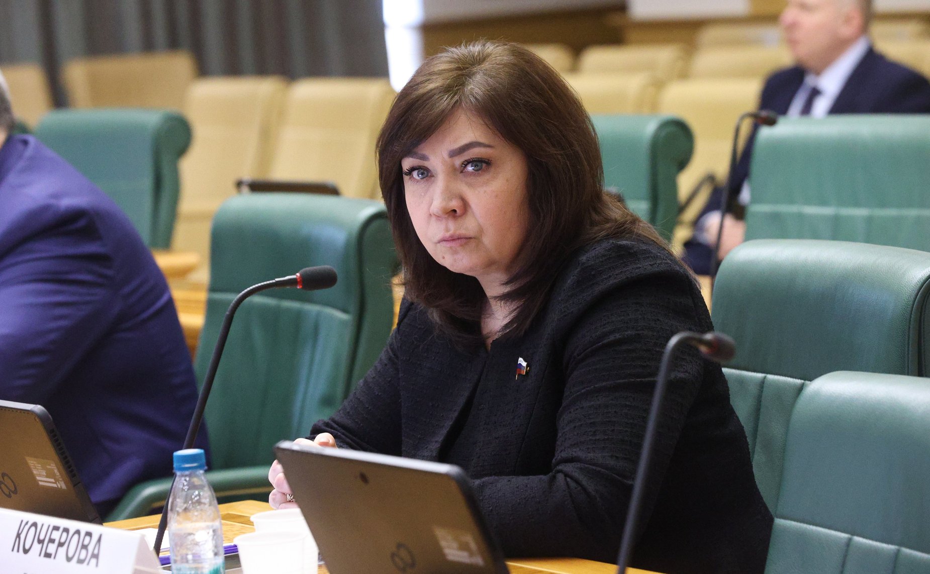 Анна Кочерова