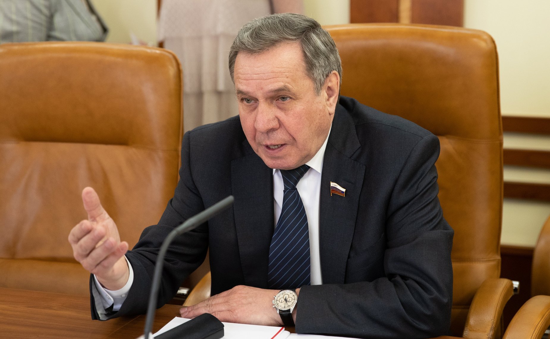 Владимир Городецкий