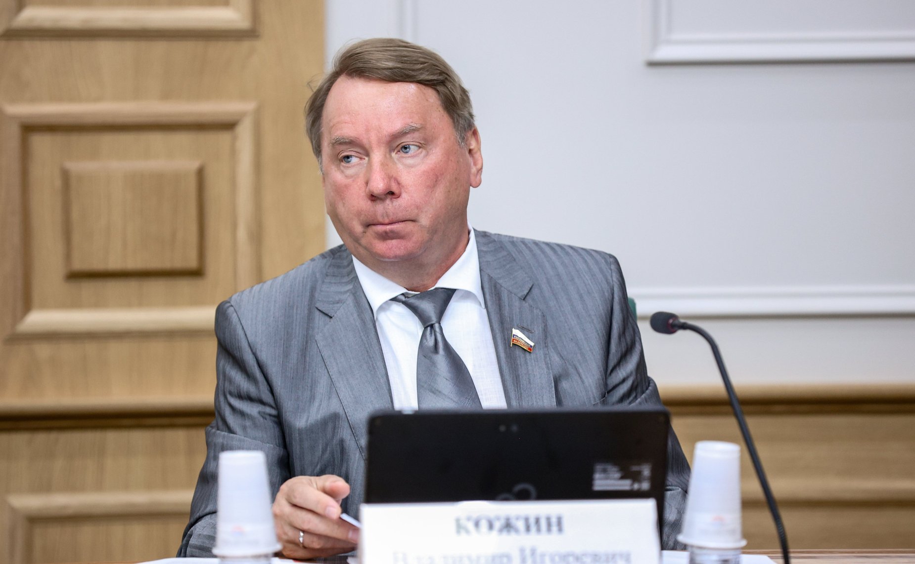 Владимир Кожин