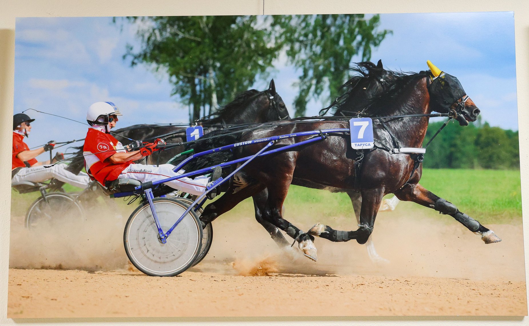 В Совете Федерации прошла церемония открытия выставки «250-летие Орловской рысистой породы лошадей»