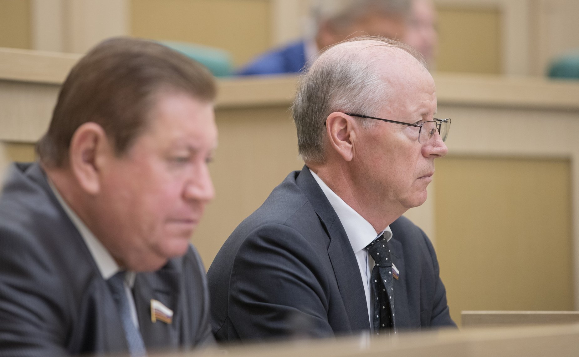 В. Литюшкин и Н. Петрушкин