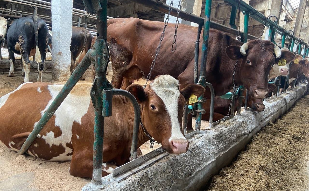 Андрей Базилевский в рамках поездки в регион проконтролировал ход весенних полевых работ в районе имени Лазо