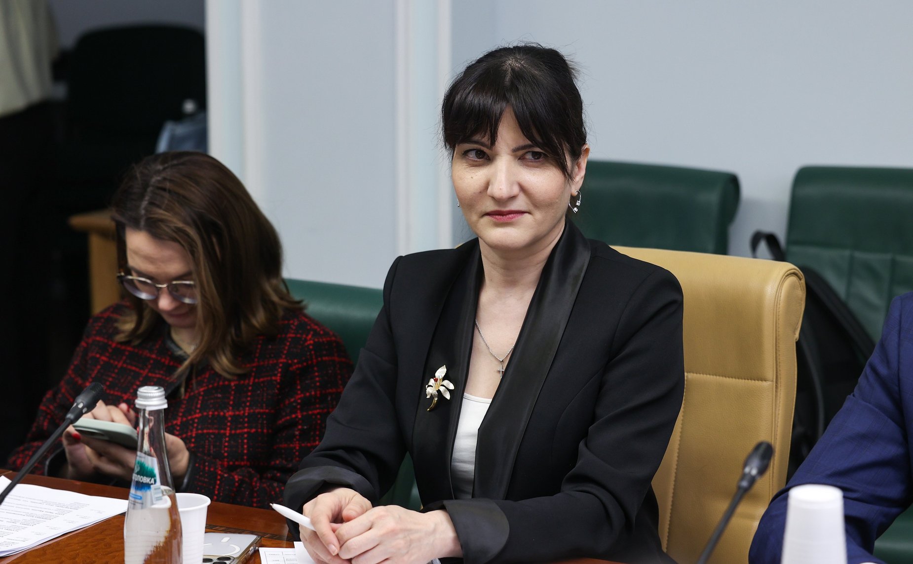 Круглый стол Комитета Совета Федерации по экономической политике «Развитие и популяризация туристского маршрута «Золотое кольцо»»