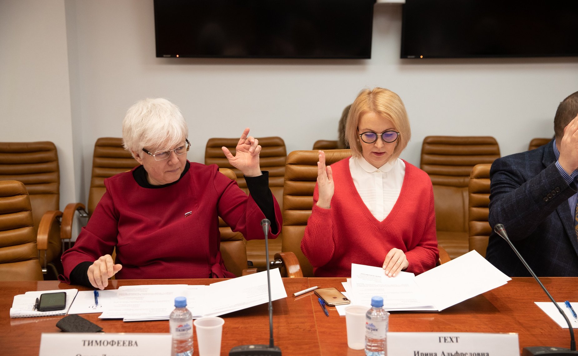 Заседание Временной комиссии по защите государственного суверенитета и недопущению вмешательства во внутренние дела РФ