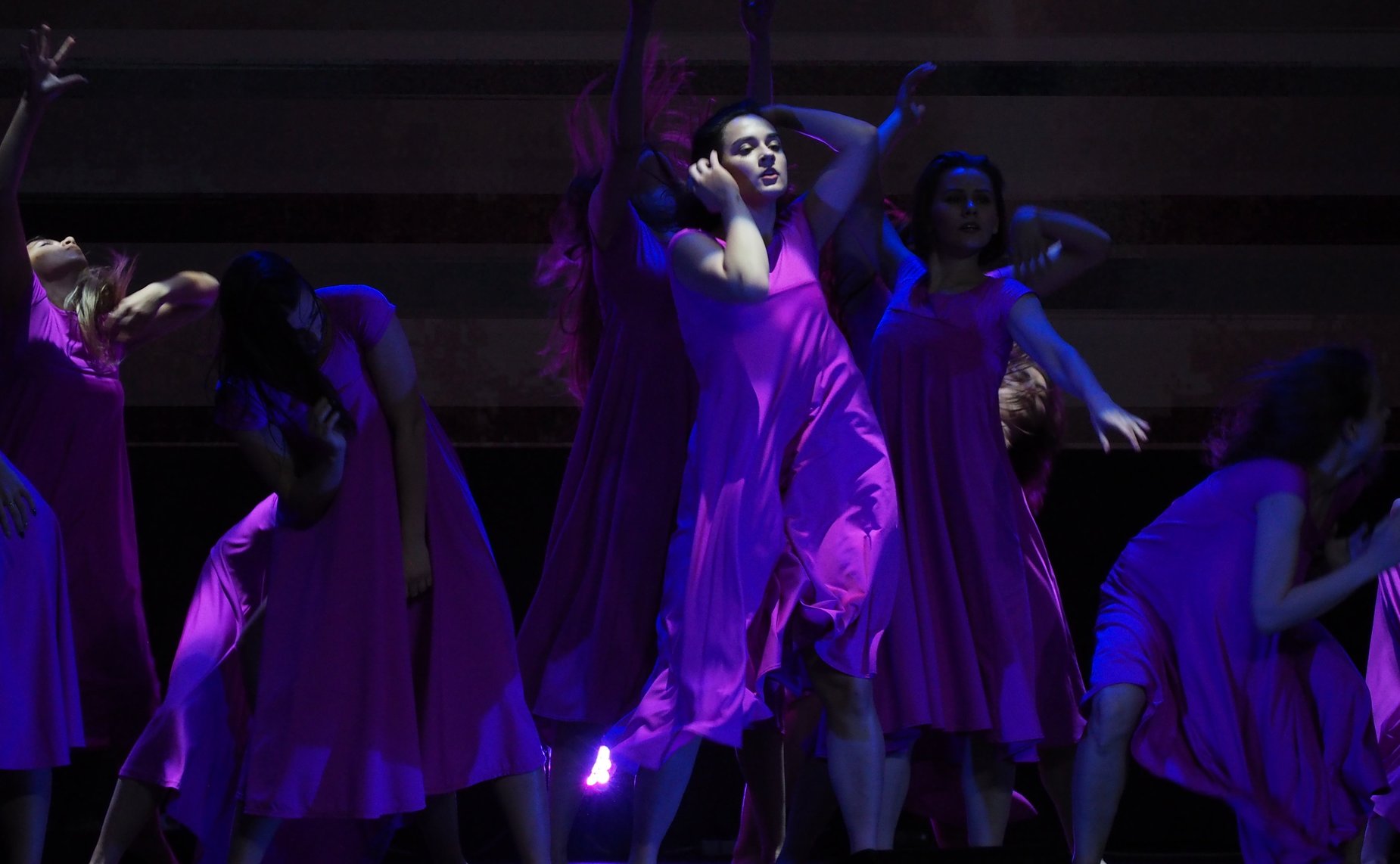 Перед участниками церемонии выступили Духовой оркестр Академии им. М. Матусовского, народный ансамбль современного танца «Диалект», студенты кафедры хореографического искусства ЛГАКИ