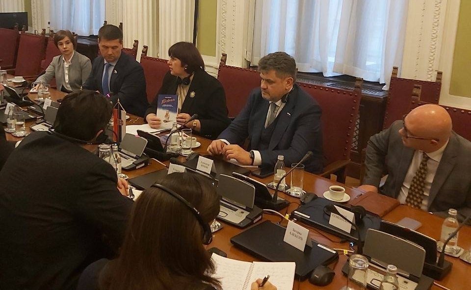 Группа дружбы Совета Федерации с Парламентом Республики Сербии провела ряд встреч в сербском Парламенте