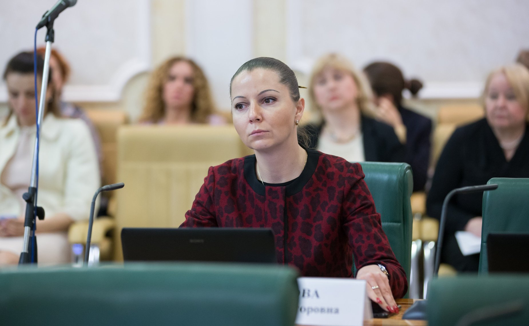 Заседание Комитета СФ по конституционному законодательству и государственному строительству