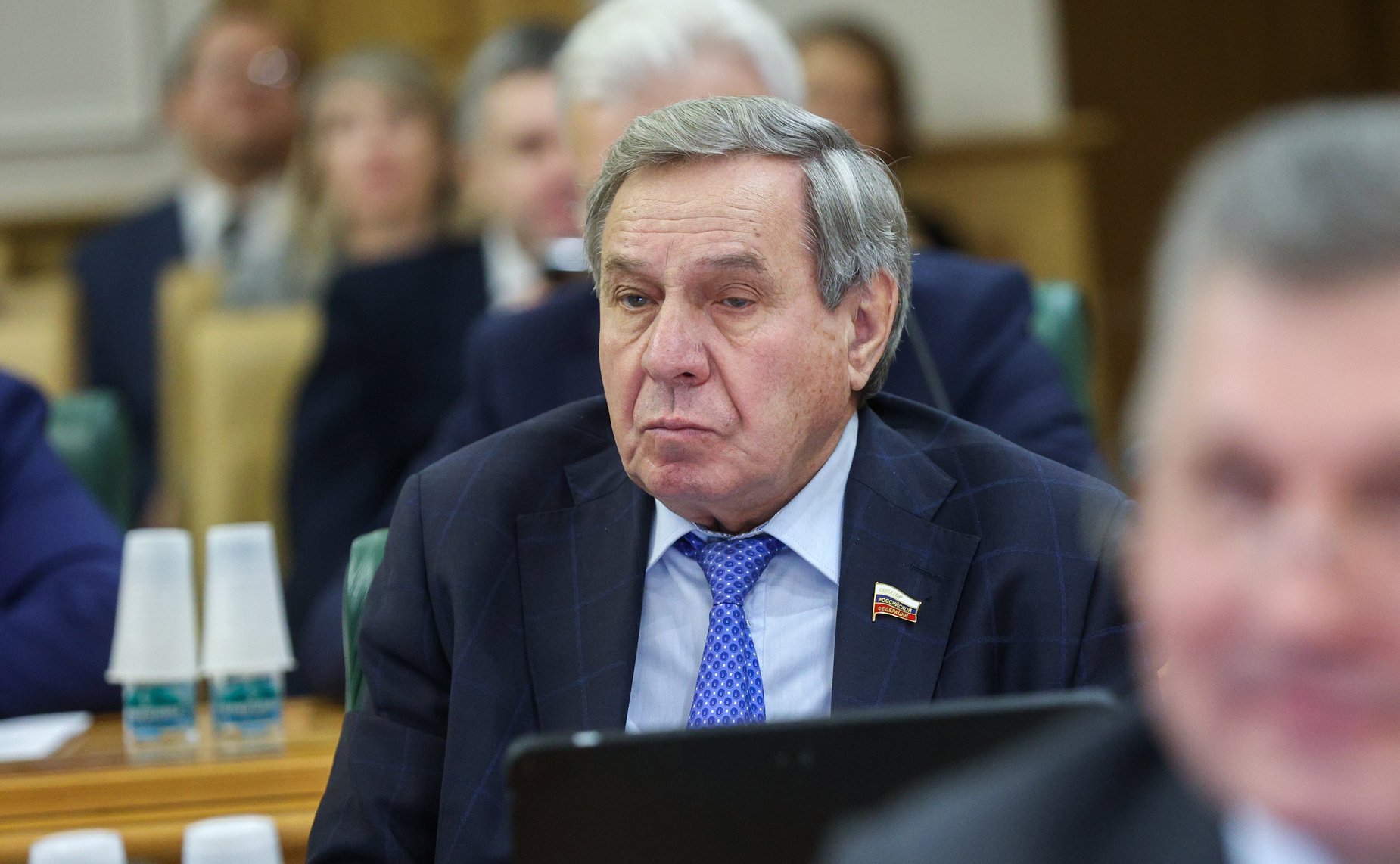 Владимир Городецкий