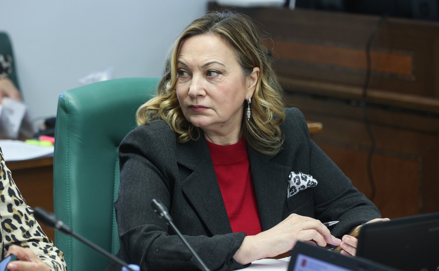 Расширенное заседание Комитета СФ по социальной политике (в рамках Дней Рязанской области в РФ)