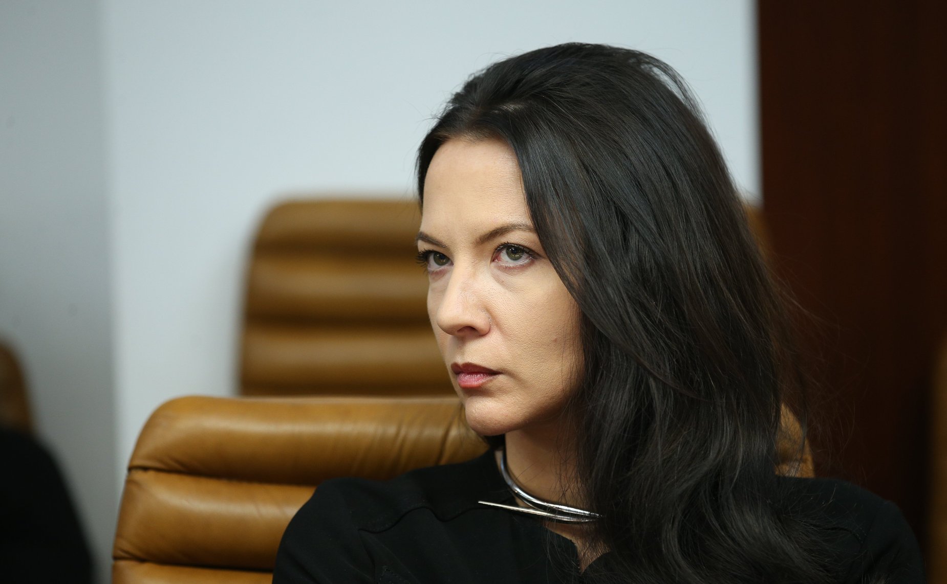 Заседание Временной комиссии СФ по защите государственного суверенитета и предотвращению вмешательства во внутренние дела РФ