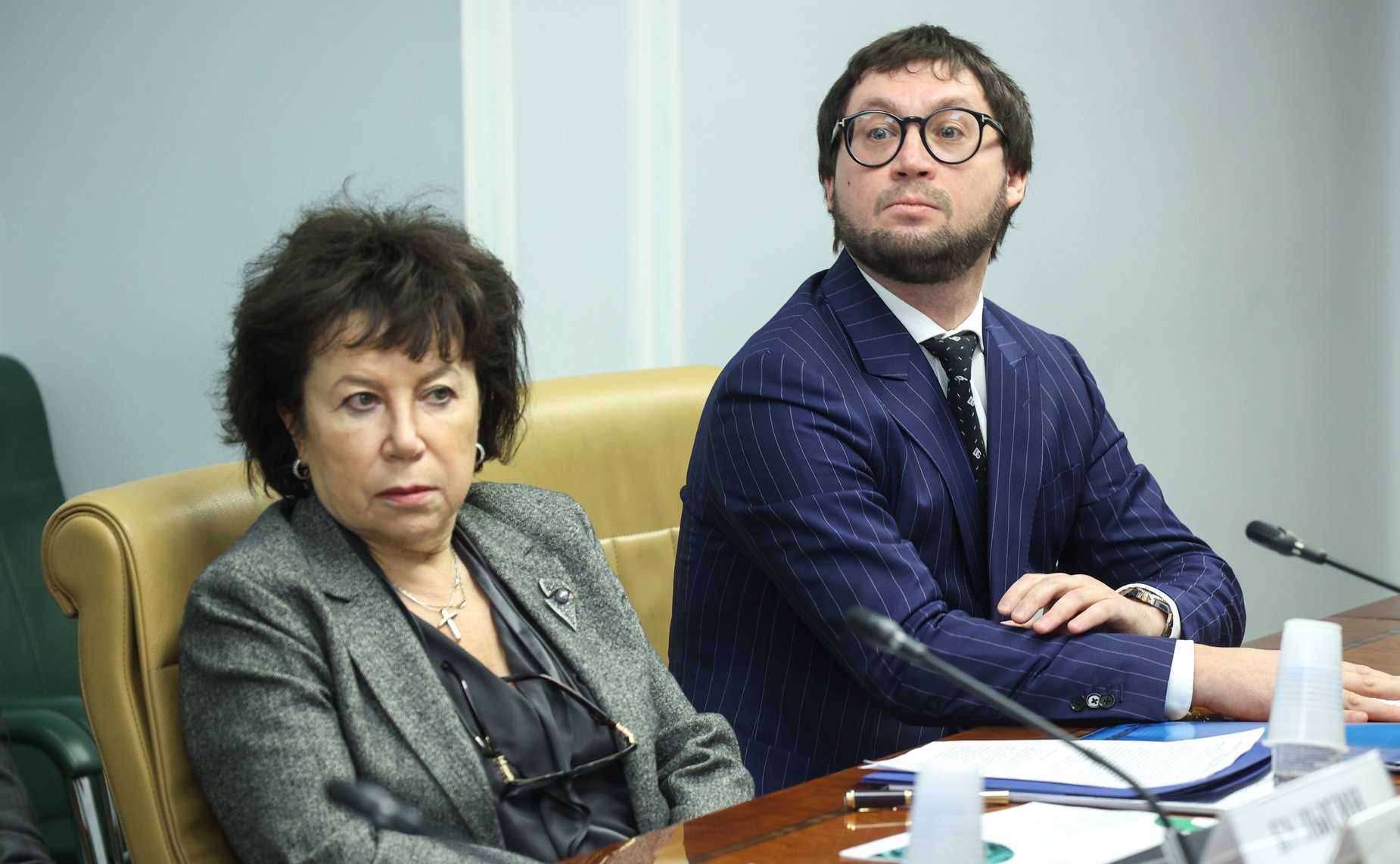 Заседание Совета по вопросам газификации субъектов Российской Федерации при Совете Федерации