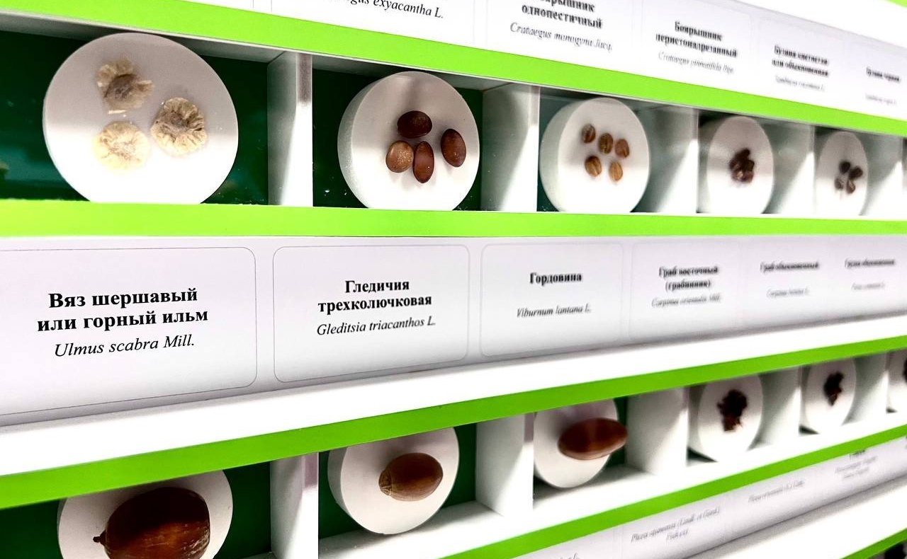 Выездное заседание Экспертно-консультативного совета по лесному комплексу при профильном Комитете СФ