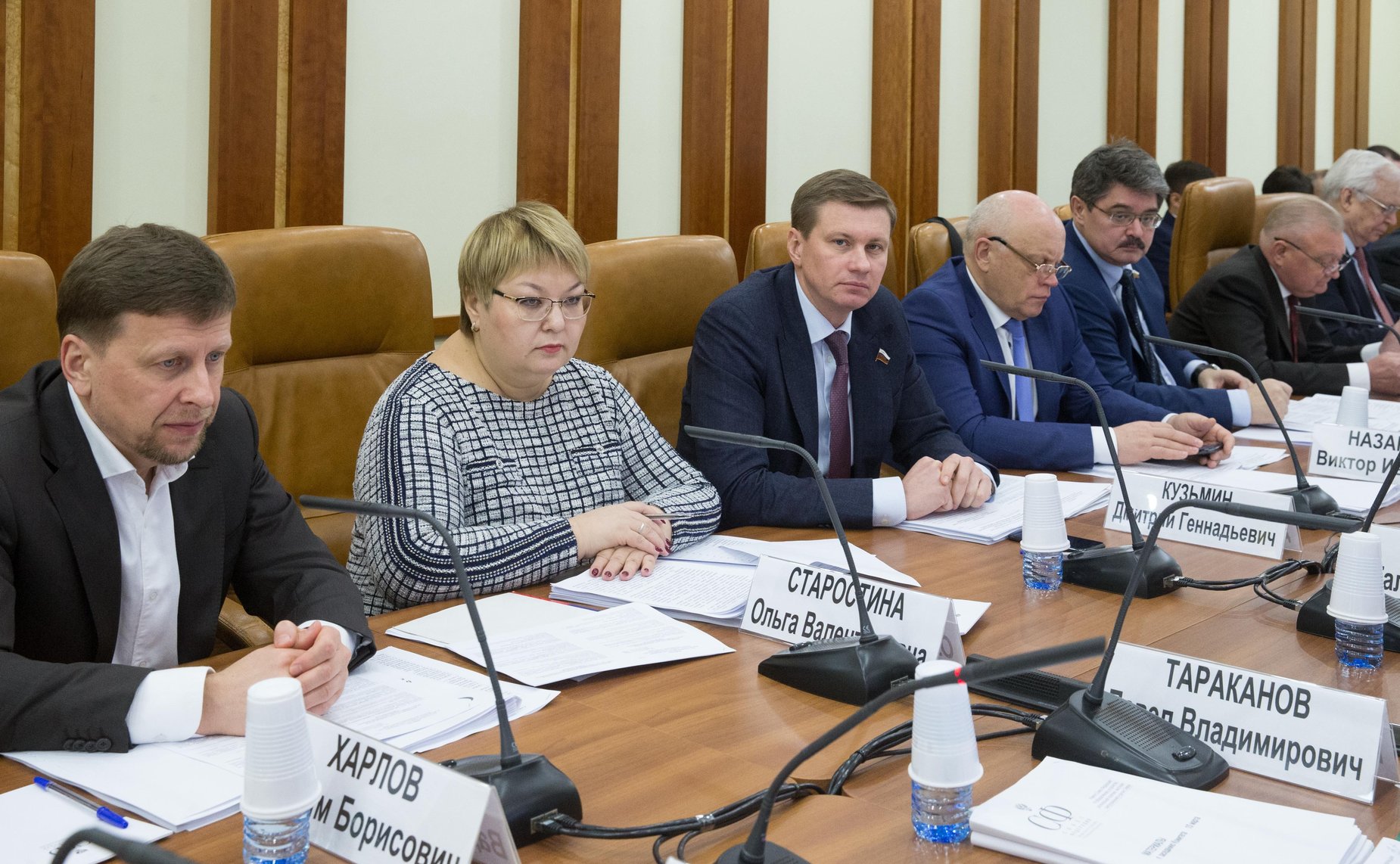 Заседание Комитета СФ по федеративному устройству, региональной политике, местному самоуправлению и делам Севера