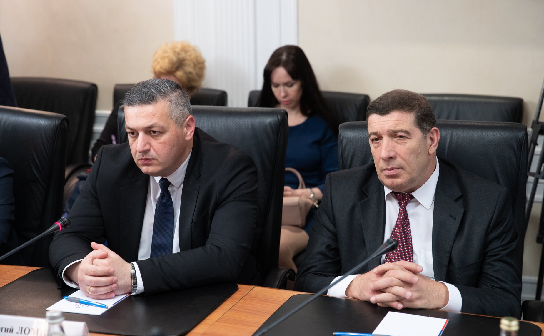 Встреча Константина Косачева с руководителем фракции «Альянс патриотов Грузии» Парламента Грузии Г. Ломия